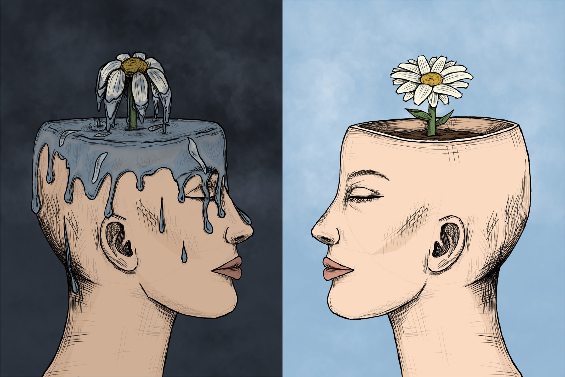 illustration for feature article 5